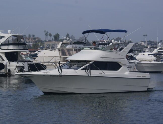 2005 28′ Bayliner Flybridge w Trailer