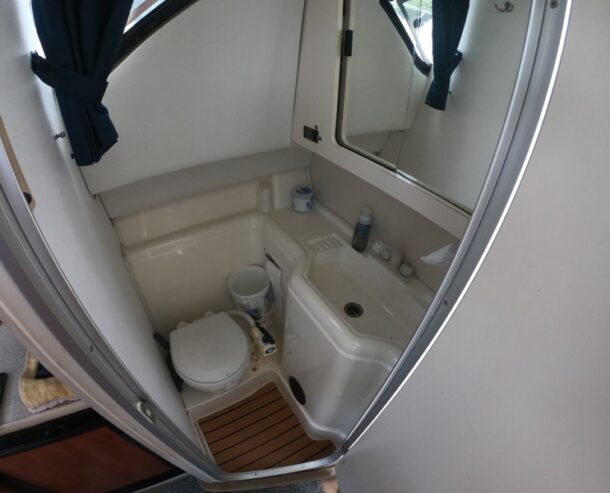 2005 28′ Bayliner Flybridge w Trailer