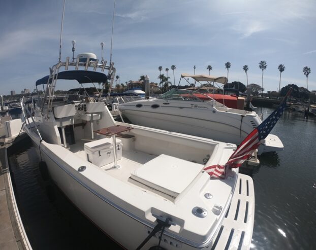 1991 Custom 25′ Skipjack Sportfisher