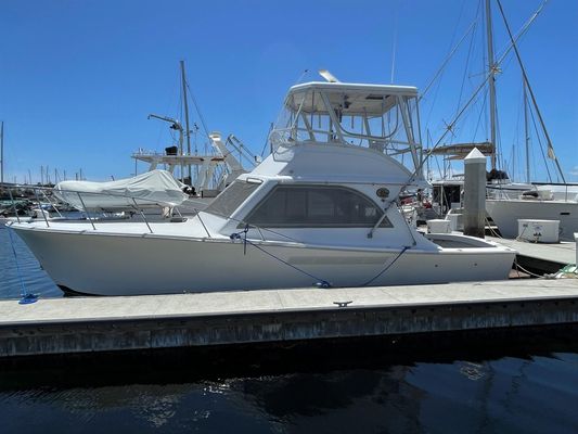 1987 36′ Jersey 36 Convertible Sportfisherman