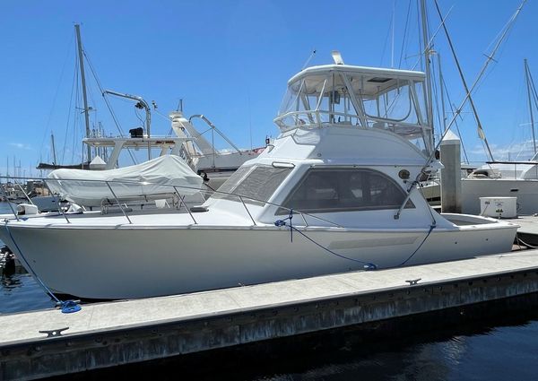 1987 36′ Jersey 36 Convertible Sportfisherman