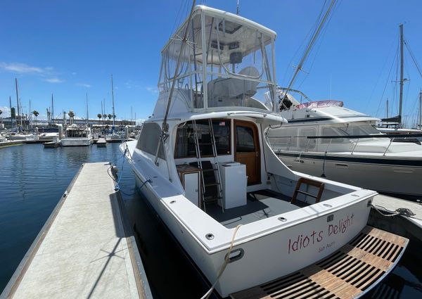 1987 36′ Jersey 36 Convertible Sportfisherman