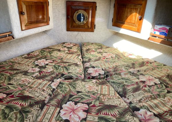 1979 31′ Silverton 31 Convertible