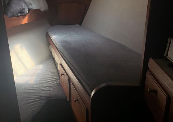 1978 38′ Morgan 382