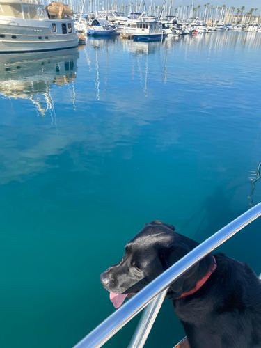 1970 45′ Matthews 45 Sportfish