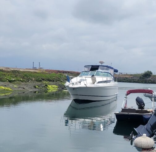 1995 36′ Wellcraft 3600 Martinique Express Cruiser