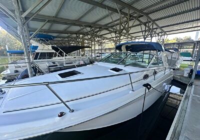 2001-sea-ray-290-sundancer-power-9623005-20241126151949082-1_XLARGE