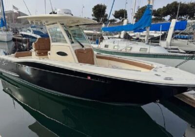 2023-scout-255-lxf-power-9639295-20241218150800786-1_XLARGE