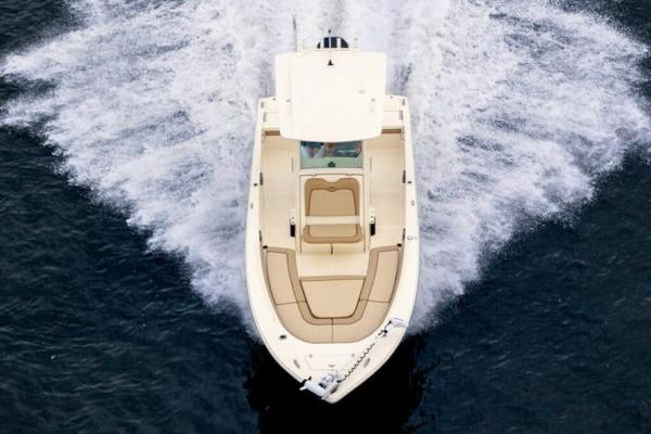 2023 25′ Scout 251 XSS