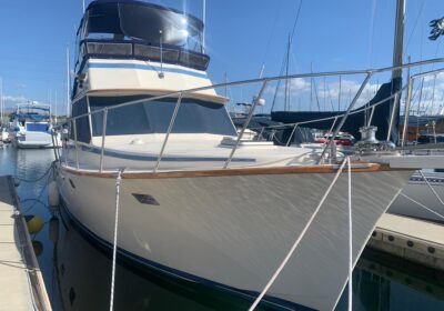 8218962_20220216151601443_1_XLARGE