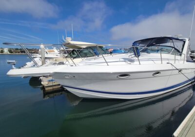 20241012_125527-Copy