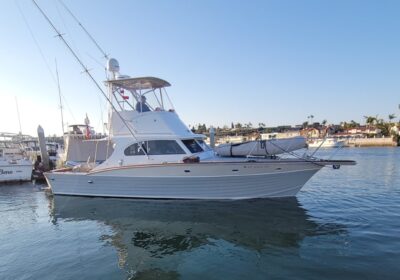 #image_title 20250118_155224-Medium