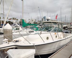 IMG_20240124_102417320_HDR