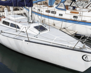 Screen-Shot-2024-10-19-at-43415-PM