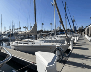 Screen-Shot-2024-10-28-at-23117-PM-copy