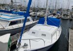 White sailboat with a blue canvas cover docked at a busy marina, surrounded by other boats and masts.