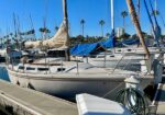 Sailboats docked at a sunny marina with white hulls, tall masts, and blue covers, palm trees in the background.