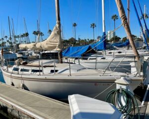 Sailboats docked at a sunny marina with white hulls, tall masts, and blue covers, palm trees in the background.