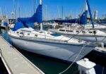 Sailboats docked in a sunny marina with blue covers and tall masts rising above the boats, calm water reflecting the blue sky.