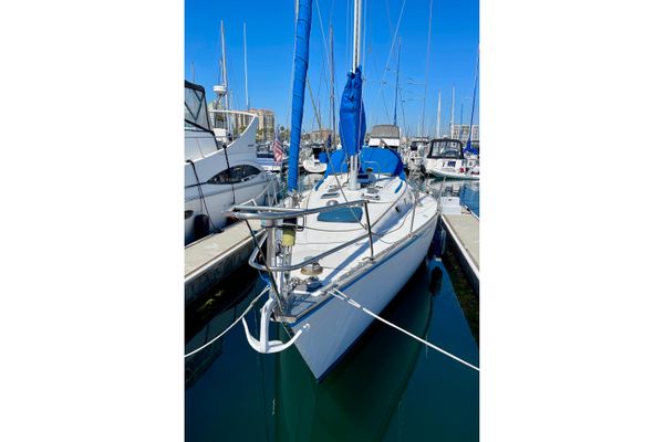 1984 34′ Hunter 34