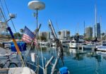 Sailboats docked at a sunny marina; American flag on a boat, calm blue water, and high-rise buildings in the background.