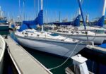 Sailboats docked at a marina on a bright, clear day with blue sky and calm water nearby.