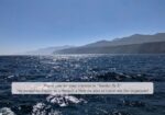 Ocean scene with distant mountains under a blue sky; a translucent banner says, 'Thank you for your interest in Samba Pa Ti. We would be happy to schedule a time for you to come see her in person!'