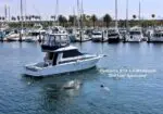 White motorboat cruising in a crowded marina with sailboats; a dolphin swims near the bow, and overlay text reads 'Cummins BTA 5.9-M1 Diesels Sea Lion Approved!'