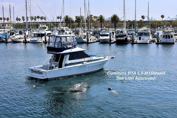 1993 38′ Mediterranean Convertible