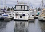 White motor yacht named Yankee Belle docked in a marina, with sailboats nearby and palm trees in the background.