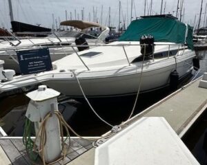1996-wellcraft-martinique-power-9428304-20240613140449967-1_XLARGE