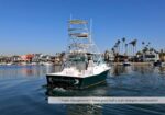 Sport fishing boat with a tall tower cruising in a sunny marina; palm-lined waterfront in background.