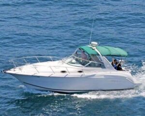 White motorboat with a green canopy cruising on blue water; two people visible at the rear onboard.