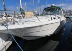 White motorboat docked at a marina, bow toward the camera, mooring lines securing it with other boats in the background.