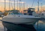 White motor yacht docked in a marina at sunset, with numerous sailboats and masts in the background over calm water.