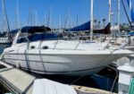 White motor boat docked at a marina, surrounded by sailboats with blue and white covers under a clear blue sky.