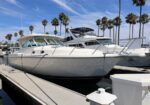 White motor yacht docked at a marina with palm trees and a clear blue sky in the background.