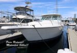 White motor yacht docked at a marina with a sale banner reading 'Price Reduced! Motivated Seller!!'
