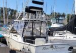 White motorboat docked in a marina with a covered cockpit and tall antenna tower; sailboats with masts are visible in the background.