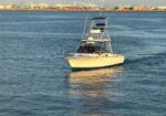 Small white motorboat with cabin anchored on calm harbor water; industrial port with cranes in the background.