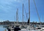 White sailboat docked at a marina on a sunny day with tall masts and calm water.