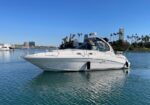 White motor yacht cruising in calm blue water near a marina with palm trees and buildings in the background on a clear day.