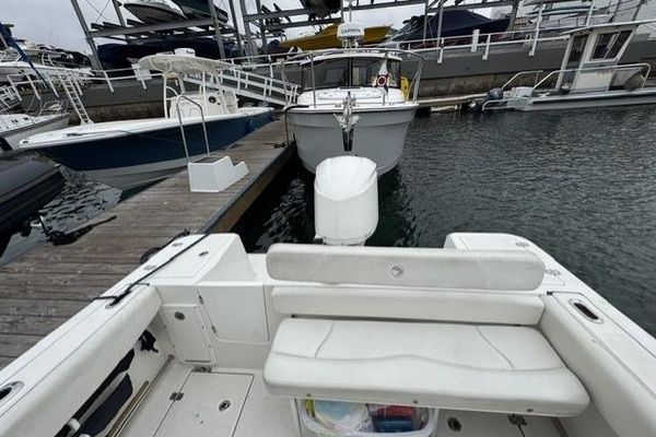 2019 24′ Edgewater 245CC