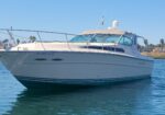 White motor yacht on calm blue water with a clear sky and palm trees in the background.