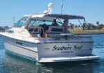 White motor yacht named 'Southern Soul' anchored in calm blue water with a marina background and palm trees. A clear sunny day.