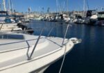 Bow of a white motorboat with stainless railing, moored in a marina with many sailboats and masts on calm water under a blue sky.