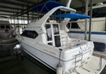 White motorboat with a blue canopy docked in a covered marina, the stern showing the name 'Feral Cat' and blue paw decals.