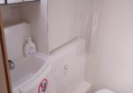 Compact white bathroom with a curved sink, hand sanitizer bottle, and a clear shower door.