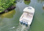 Aerial view of a white motorboat with three outboard engines cruising through greenish water near mangrove trees along the shore.