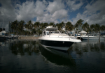 2002 37′ Intrepid 377